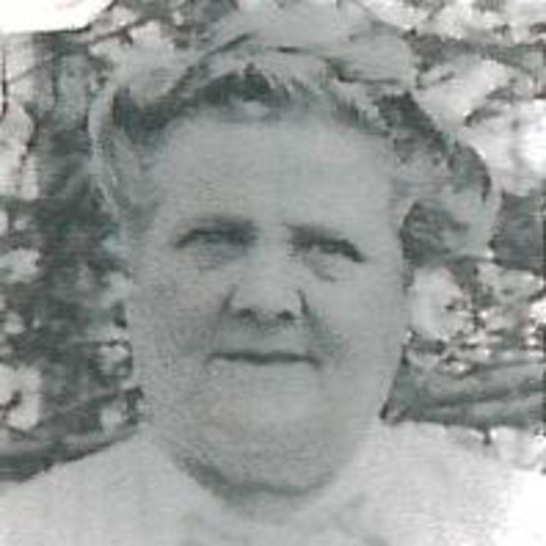 Eliza Lunn (1855 - 1929) Profile